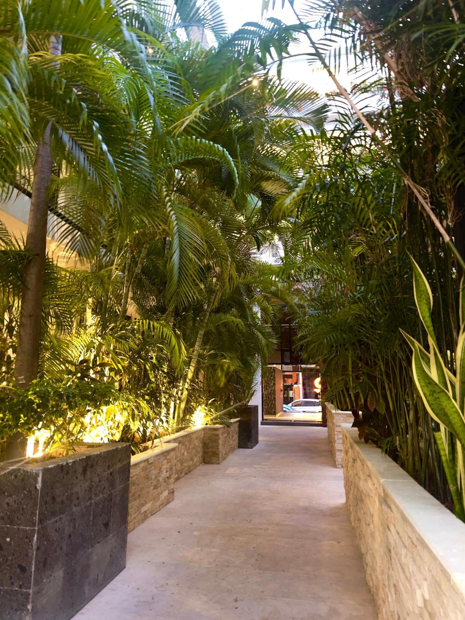 The City Condos By Menesse Playa del Carmen Eksteriør billede